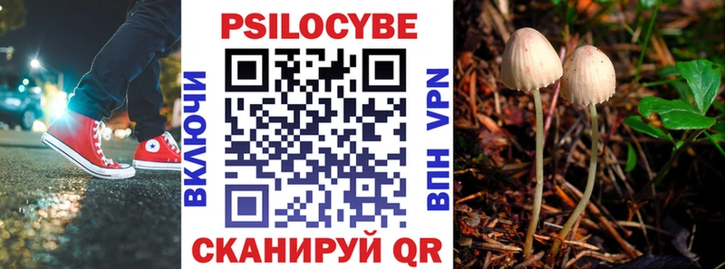 купить   Сарапул  Галлюциногенные грибы Psilocybine cubensis 