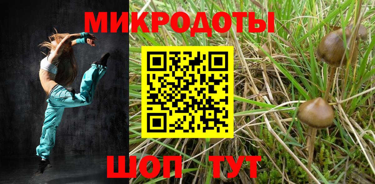 Галлюциногенные грибы прущие грибы  Вход с VPN  Сарапул 